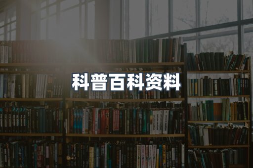 外文电子书系列